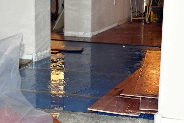 Professional Emergency Water Damage Restoration technician working in Muldoon, TX